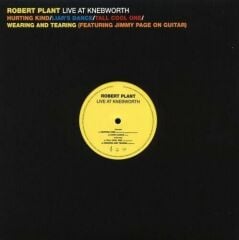 Robert Plant – Live At Knebworth (RSD 2021) (Plak - 33 Devir)