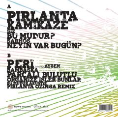 Nil Karaibrahimgil - Tek Taşımı Kendim Aldım 33'lük Plak