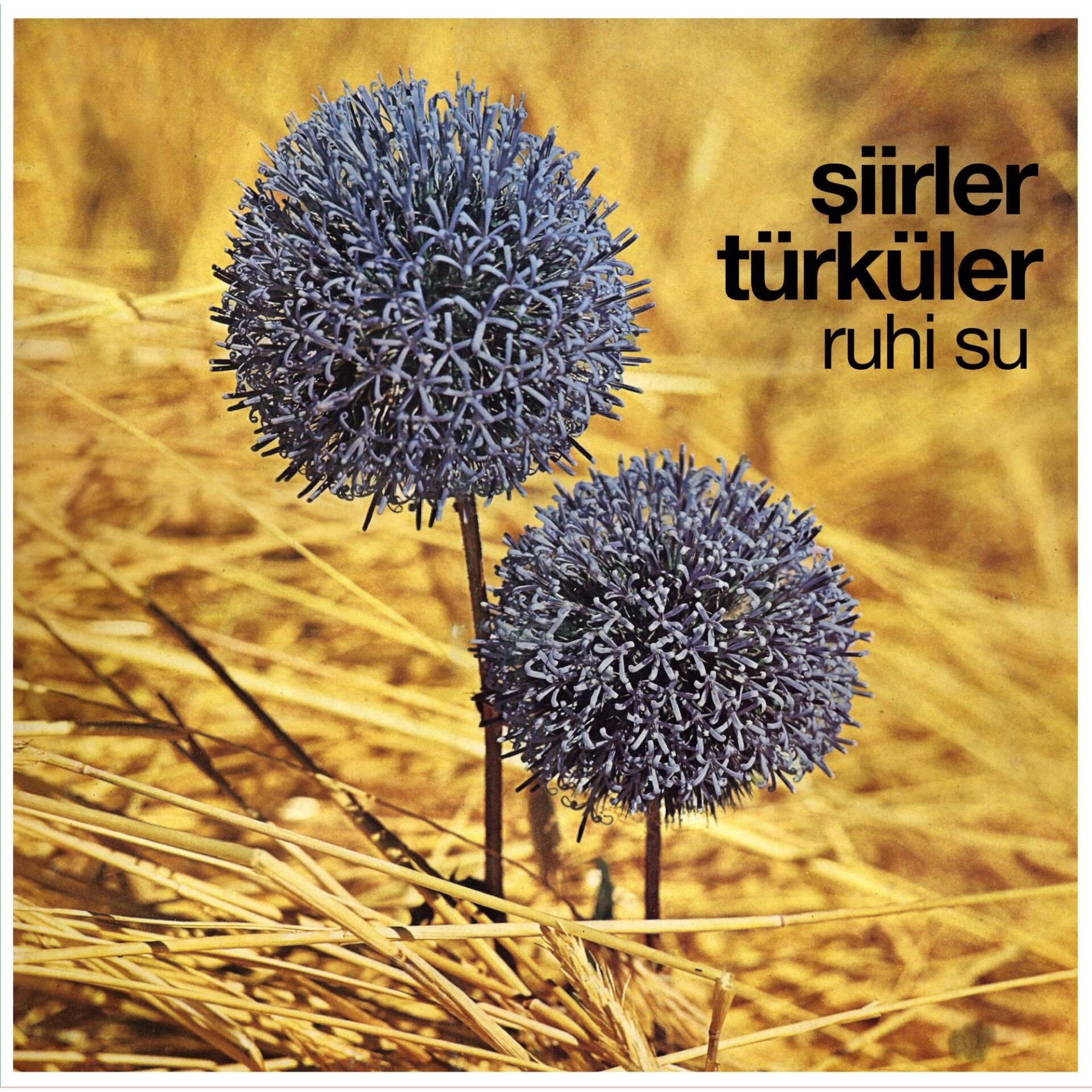 Ruhi Su - Şiirler Türküler Plak