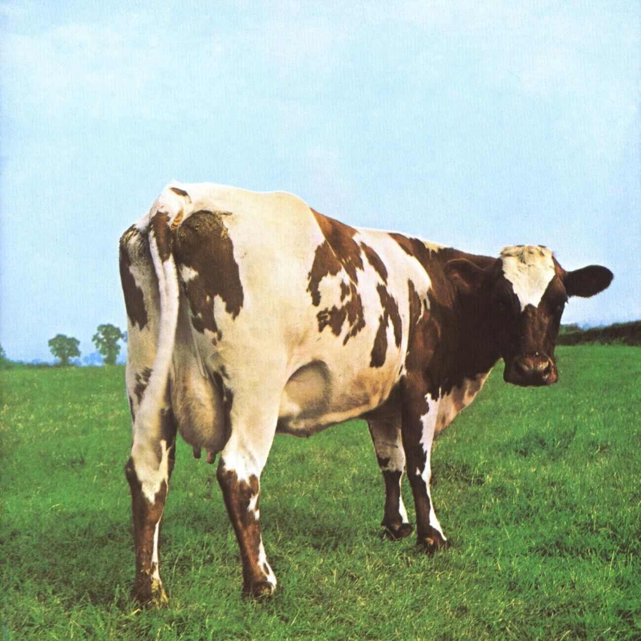 Pink Floyd - Atom Heart Mother Plak