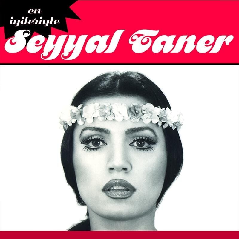 -Seyyal Taner - En İyileriyle 33'lük Plak