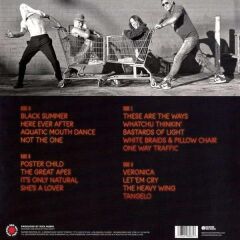Red Hot Chili Peppers - Unlimited Love (Yeni Baskı - 2'li Plak)