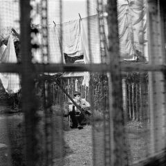 Paul McCartney - Chaos and Creation in the Backyard (Yeni Baskı Plak)