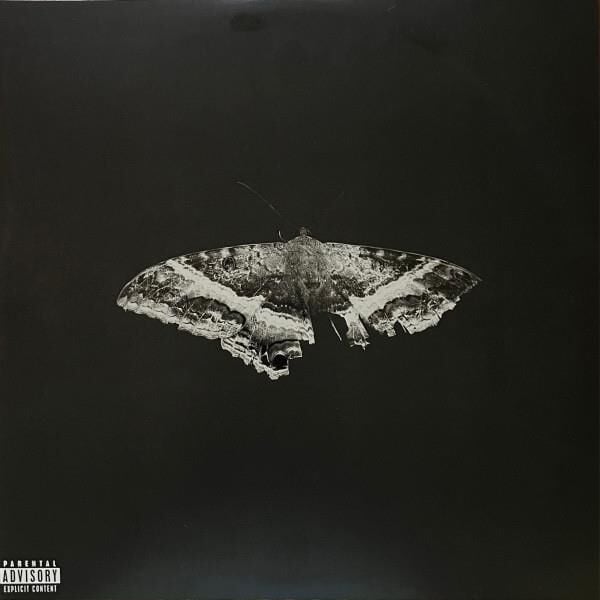 Kendrick Lamar - To Pimp A Butterfly 2'li Plak