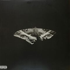 Kendrick Lamar - To Pimp A Butterfly 2'li Plak