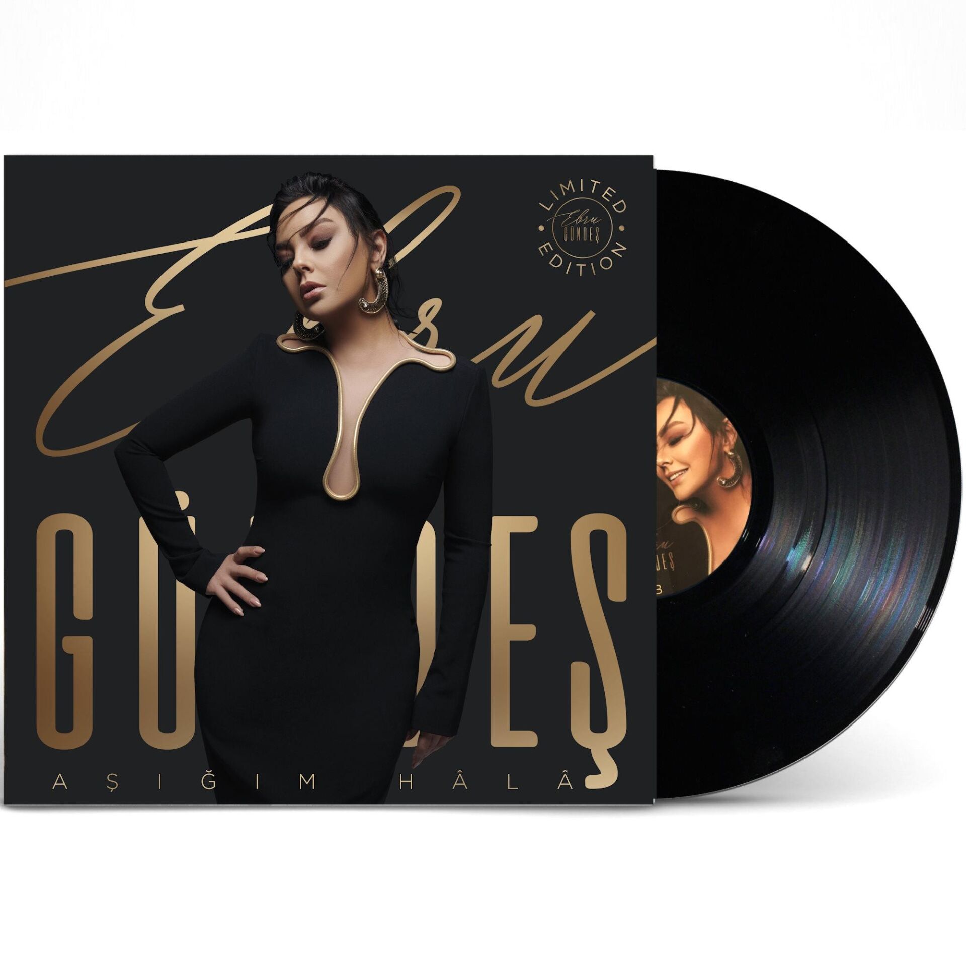 -Ebru Gündeş - Aşığım Hala 33'lük Plak