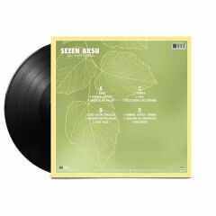 Sezen Aksu - Deli Kızın Türküsü 2'li Plak