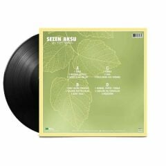 Sezen Aksu - Deli Kızın Türküsü 2'li Plak