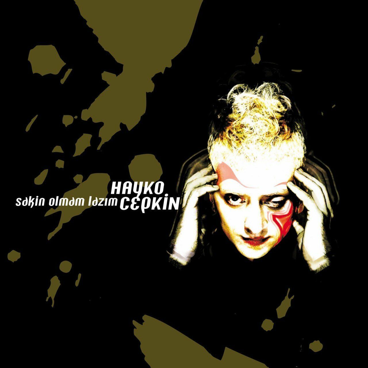 Hayko Cepkin - Sakin Olmam Lazım 33'lük Plak