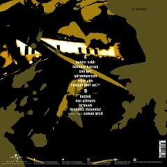 Hayko Cepkin - Sakin Olmam Lazım 33'lük Plak