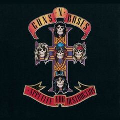 Guns N Roses - Appetite For Destruction (Yeni Baskı Plak)