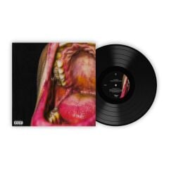 Kamufle - Tüm Suç Ritimlerin 33'lük Plak