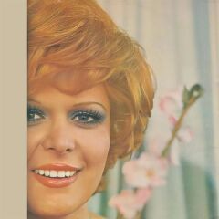 Neşe Karaböcek - Deli Gibi Sevdim (Yeni Baskı Plak)