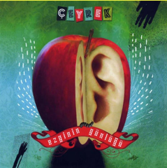 Ezginin Günlüğü Çeşitli Sanatçılar - Çeyrek 2'li Plak