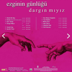 Ezginin Günlüğü - Dargın Mıyız  Plak