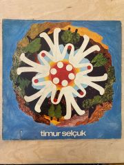 Timur Selçuk - Timur Selçuk Nereye Payidar 33'lük Dönem Baskı Plak