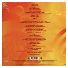 The Beatles – Love 2'li Plak