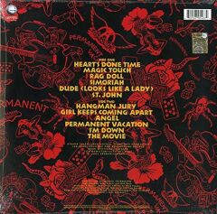 Aerosmith - Permanent Vacation Plak